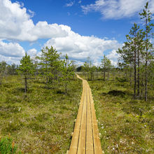 LATVIA NATURE