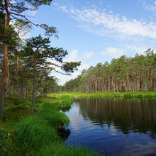 LATVIA NATURE