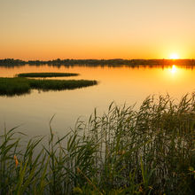 LATVIA NATURE