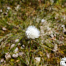 LATVIA NATURE