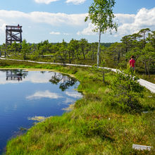 LATVIA NATURE