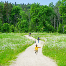 LATVIA NATURE