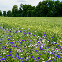 LATVIA NATURE