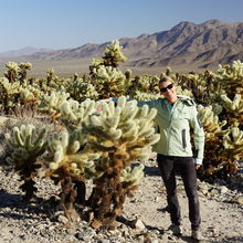 JOSHUA TREE NATIONAL PARK, CALIFORNIA