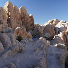 JOSHUA TREE NATIONAL PARK, CALIFORNIA