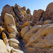 JOSHUA TREE NATIONAL PARK, CALIFORNIA