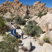 JOSHUA TREE NATIONAL PARK, CALIFORNIA