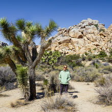 JOSHUA TREE NATIONAL PARK, CALIFORNIA