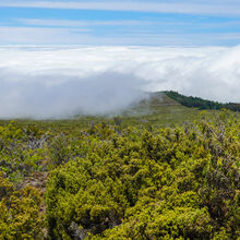 HALEAKALA NATIONAL PARK, MAUI