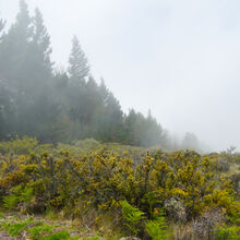 HALEAKALA NATIONAL PARK, MAUI