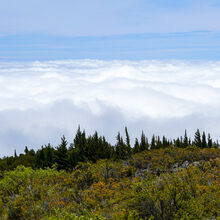 HALEAKALA NATIONAL PARK, MAUI