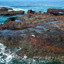 ISLAND OF LANAI, HAWAII