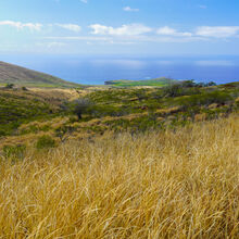 ISLAND OF LANAI, HAWAII