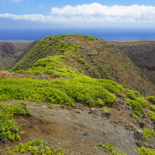 ISLAND OF LANAI, HAWAII