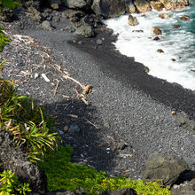 MAUI ISLAND TOUR (HAWAII)