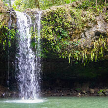 MAUI ISLAND TOUR (HAWAII)