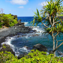 MAUI ISLAND TOUR (HAWAII)