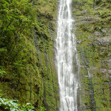 MAUI ISLAND TOUR (HAWAII)