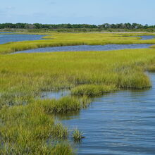 ASSATEAGUE ISLAND NATIONAL SEASHORE