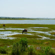 ASSATEAGUE ISLAND NATIONAL SEASHORE