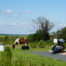 ASSATEAGUE ISLAND NATIONAL SEASHORE