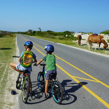 ASSATEAGUE ISLAND NATIONAL SEASHORE