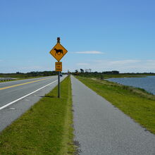 ASSATEAGUE ISLAND NATIONAL SEASHORE