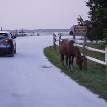 ASSATEAGUE ISLAND NATIONAL SEASHORE