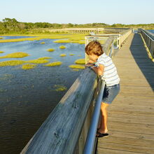 ASSATEAGUE ISLAND NATIONAL SEASHORE