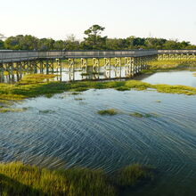 ASSATEAGUE ISLAND NATIONAL SEASHORE