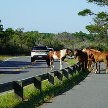 ASSATEAGUE ISLAND NATIONAL SEASHORE