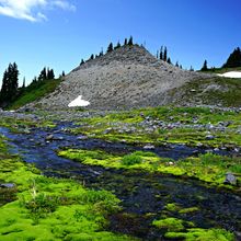 MOUNT RAINIER NP, WASHINGTON