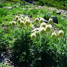 MOUNT RAINIER NP, WASHINGTON