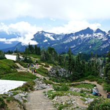 MOUNT RAINIER NP, WASHINGTON