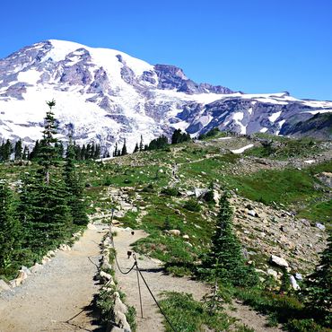 MOUNT RAINIER NP, WASHINGTON