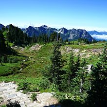 MOUNT RAINIER NP, WASHINGTON