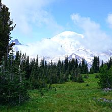 MOUNT RAINIER NP, WASHINGTON