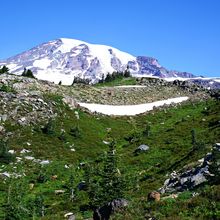 MOUNT RAINIER NP, WASHINGTON