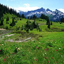 MOUNT RAINIER NP, WASHINGTON